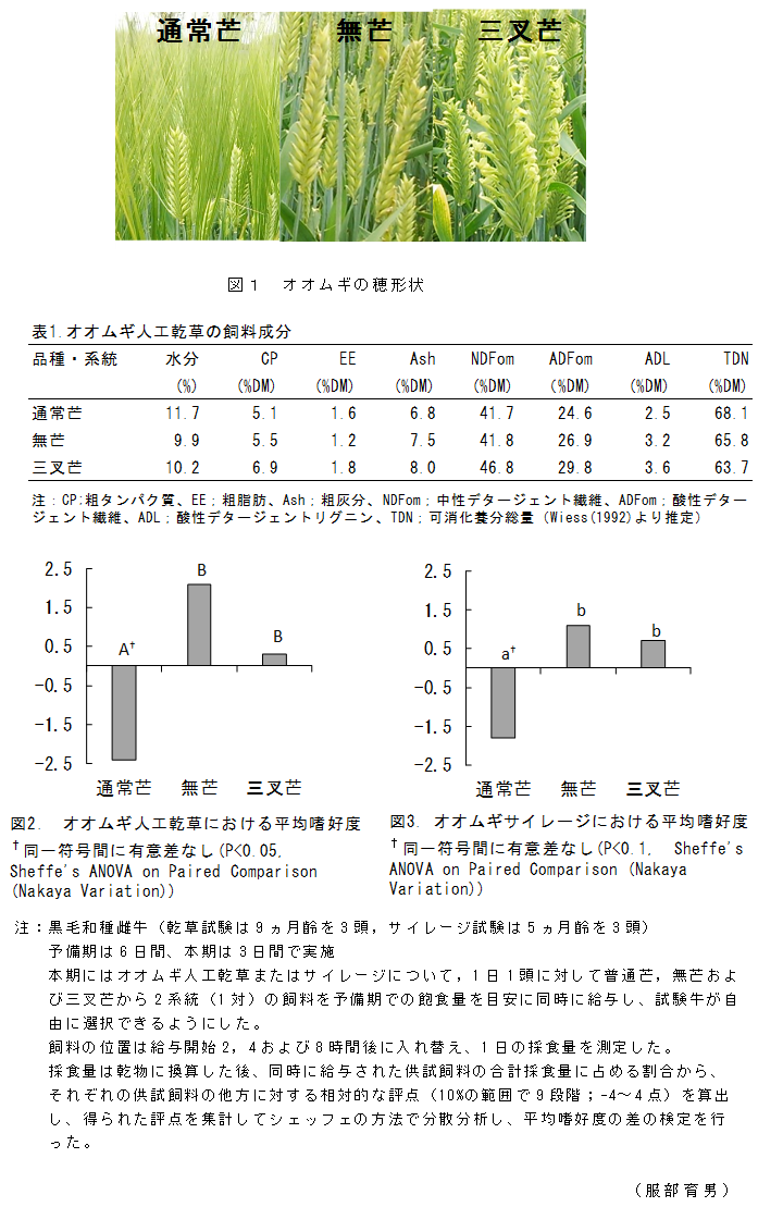 図1 オオムギの穂形状;