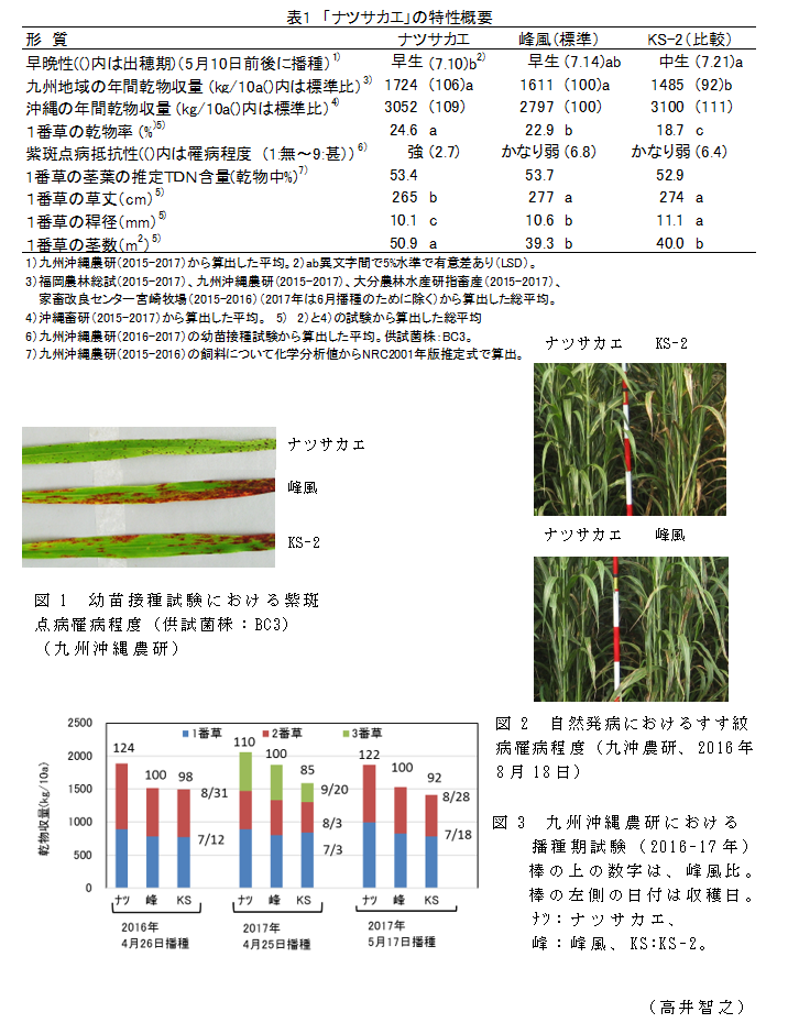 図1 幼苗接種試験における紫斑点病罹病程度(供試菌株:BC3)(九州沖縄農研);図2 自然発病におけるすす紋病罹病程度(九沖農研、2016年8月18日);図3 九州沖縄農研における播種期試験(2016-17年)