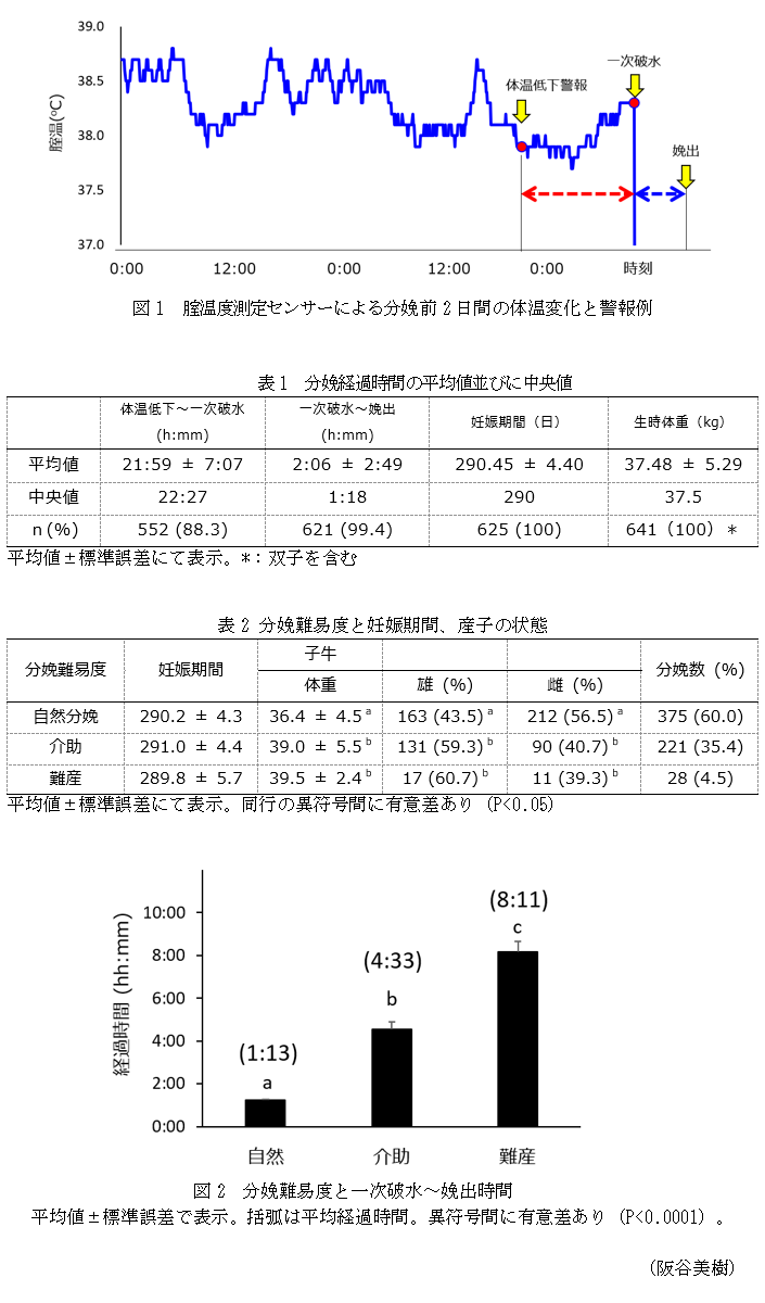 図1 腟温度測定センサーによる分娩前2日間の体温変化と警報例,表1 分娩経過時間の平均値並びに中央値,表2 分娩難易度と妊娠期間、産子の状態,図2 分娩難易度と一次破水～娩出時間