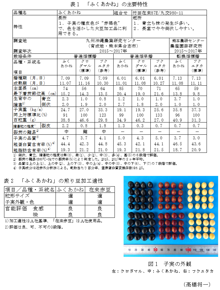 表1 「ふくあかね」の主要特性,表2 「ふくあかね」の煎り豆加工適性,図1 子実の外観