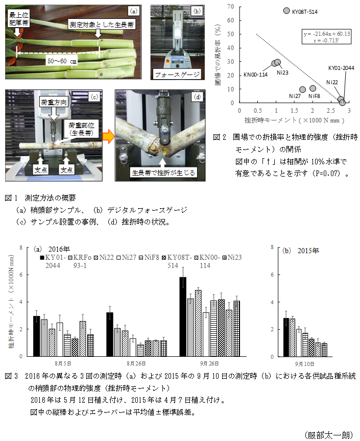 図1 測定方法の概要,図2 圃場での折損率と物理的強度(挫折時モーメント)の関係,図3 2016年の異なる3回の測定時(a)および2015年の9月10日の測定時(b)における各供試品種系統の梢頭部の物理的強度(挫折時モーメント)