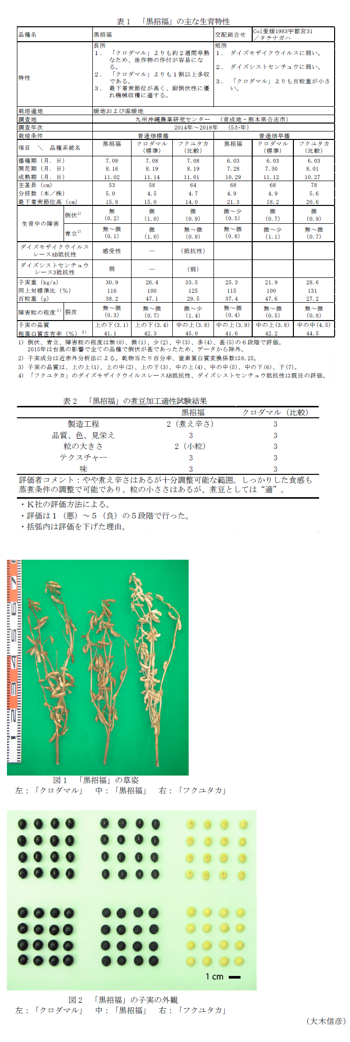 表1 「黒招福」の主な生育特性,表2 「黒招福」の煮豆加工適性試験結果,図1 「黒招福」の草姿,図2 「黒招福」の子実の外観