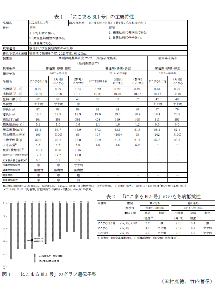 表1 「にこまるBL1号」の主要特性,表2 「にこまるBL1号」のいもち病抵抗性,図1 「にこまるBL1号」のグラフ遺伝子型