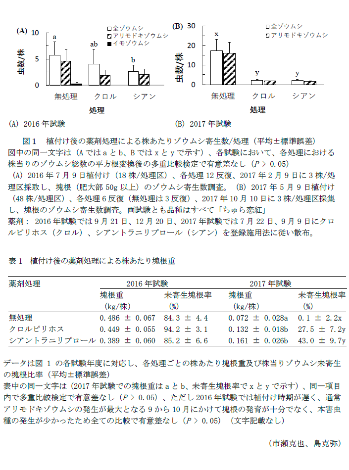 図1 植付け後の薬剤処理による株あたりゾウムシ寄生数/処理,表1 植付け後の薬剤処理による株あたり塊根重