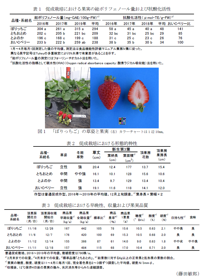 表1 促成栽培における果実の総ポリフェノール量および抗酸化活性,図1 「ぽりっちご」の草姿と果実,表2 促成栽培における形態的特性,表3 促成栽培における早晩性、収量および果実品質