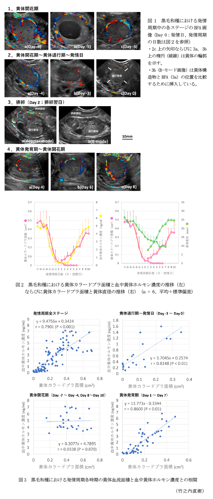 図1 黒毛和種における発情周期中の各ステージのBFA画像(Day 0:発情日、発情周期の日数は図2を参照),図2 黒毛和種における黄体カラードプラ面積と血中黄体ホルモン濃度の推移(左)ならびに黄体カラードプラ面積と黄体直径の推移(右),図3 黒毛和種における発情周期各時期の黄体血流面積と血中黄体ホルモン濃度との相関