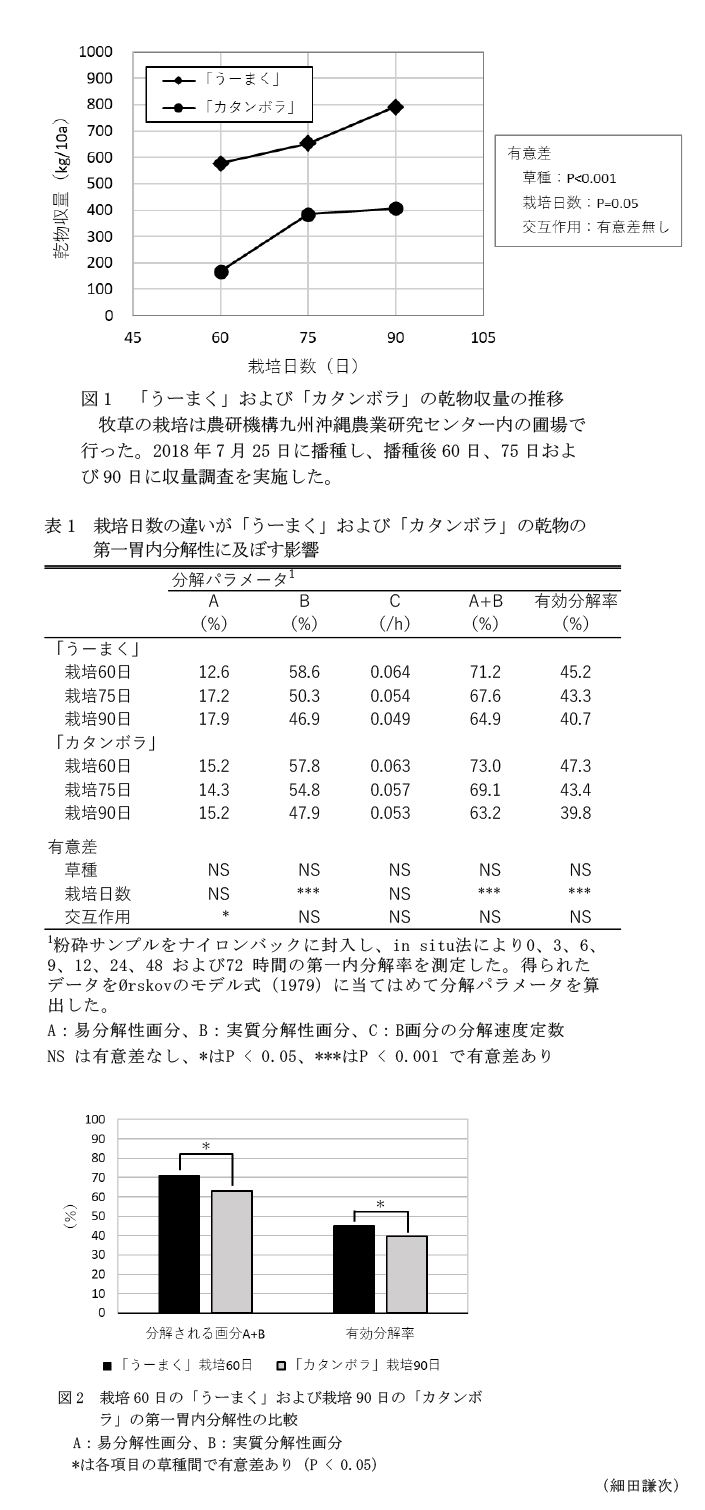 図1 「うーまく」および「カタンボラ」の乾物収量の推移,表1 栽培日数の違いが「うーまく」および「カタンボラ」の乾物の第一胃内分解性に及ぼす影響,図2 栽培60日の「うーまく」および栽培90日の「カタンボラ」の第一胃内分解性の比較