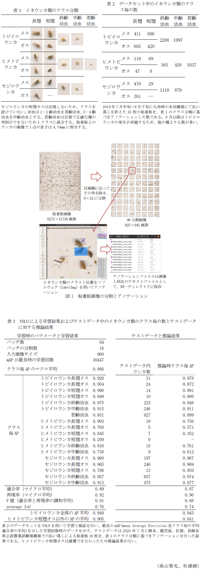 表1 イネウンカ類のクラス分類,表2 データセット中のイネウンカ類のクラス毎の数,図1 粘着板画像の分割とアノテーション,表3 YOLOによる学習結果およびテストデータ中のイネウンカ類のクラス毎の数とテストデータに対する推論結果