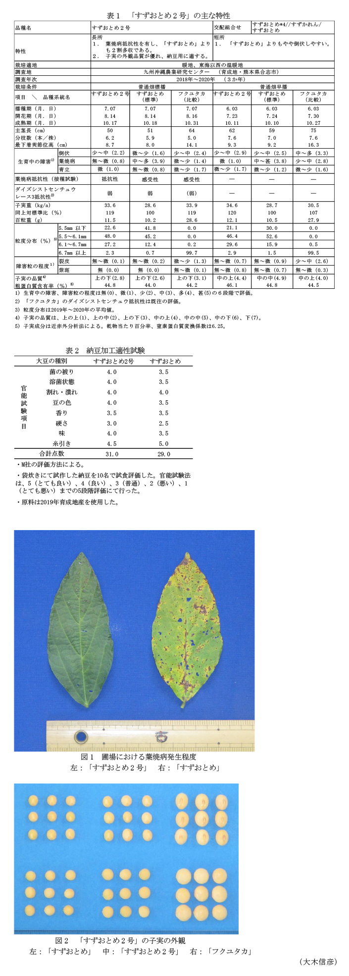 表1 「すずおとめ2号」の主な特性,表2 納豆加工適性試験,図1 圃場における葉焼病発生程度,図2 「すずおとめ2号」の子実の外観