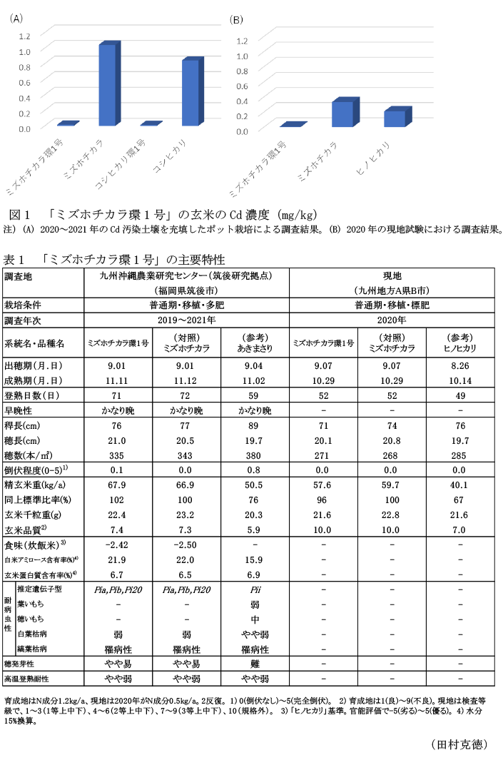 図1 「ミズホチカラ環1号」の玄米のCd濃度(mg/kg),表1 「ミズホチカラ環1号」の主要特性