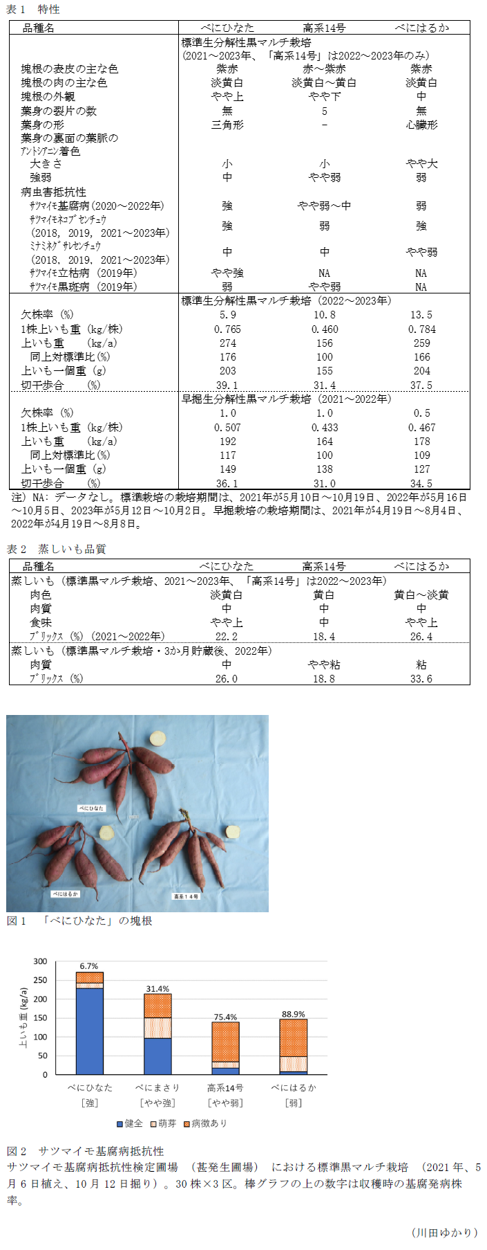 表1 特性,表2 蒸しいも品質,図1 「べにひなた」の塊根,図2 サツマイモ基腐病抵抗性