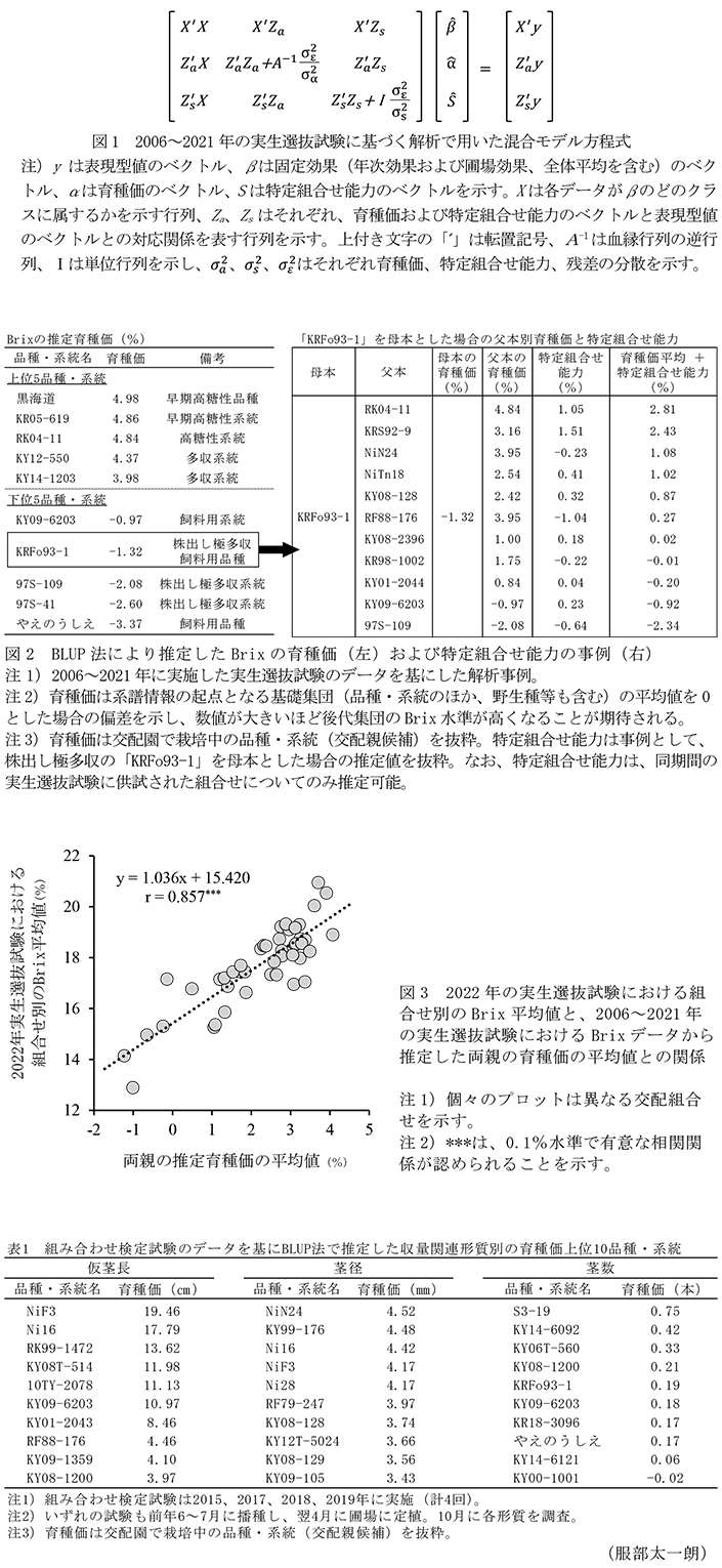 図1 2006~2021年の実生選抜試験に基づく解析で用いた混合モデル方程式,図2 BLUP法により推定したBrixの育種価(左)および特定組合せ能力の事例(右),図3 2022年の実生選抜試験における組合せ別のBrix平均値と、2006~2021年の実生選抜試験におけるBrixデータから推定した両親の育種価の平均値との関係,表1 組み合わせ検定試験のデータを基にBLUP法で推定した収量関連形質別の育種価上位10品種・系統