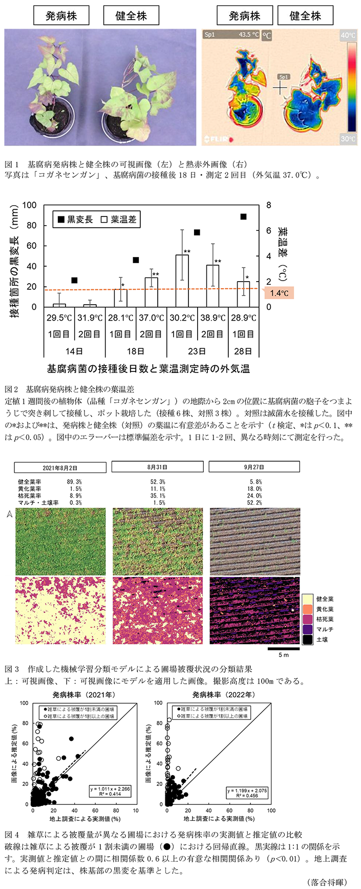 図1 基腐病発病株と健全株の可視画像(左)と熱赤外画像(右),図2 基腐病発病株と健全株の葉温差,図3 作成した機械学習分類モデルによる圃場被覆状況の分類結果,図4 雑草による被覆量が異なる圃場における発病株率の実測値と推定値の比較