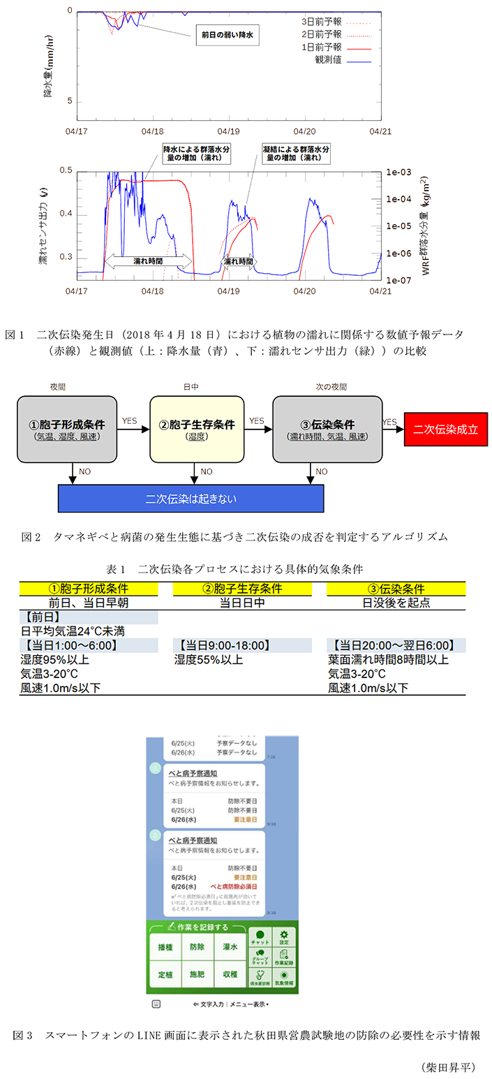 図1 二次伝染発生日(2018年4月18日)における植物の濡れに関係する数値予報データ(赤線)と観測値(上:降水量(青)、下:濡れセンサ出力(緑))の比較,図2 タマネギべと病菌の発生生態に基づき二次伝染の成否を判定するアルゴリズム,表1 二次伝染各プロセスにおける具体的気象条件,図3 スマートフォンのLINE画面に表示された秋田県営農試験地の防除の必要性を示す情報