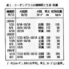 表1 スーダングラスの播種期と生育・収量