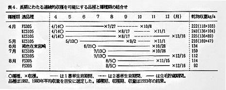 表4 長期にわたる連続的収穫を可能にする品種と播種期の組合せ