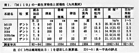 表1 「Mi19」の一般生育特性と採種性