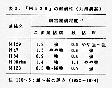 表2 「Mi29」の耐病性