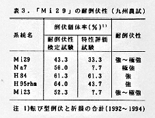 表3 「Mi29」の耐倒伏性