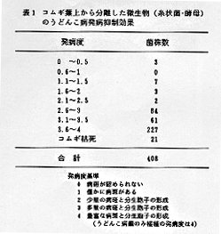 表1 コムギ葉上から分離した微生物のうどんこ病発病抑制効果