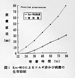 図1 Kyu-W63によるコムギ赤かび病菌の生育抑制