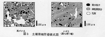 図3 土壌微細形態模式図