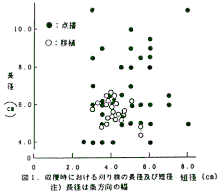 図1.収穫時における刈り株の長径及び短径
