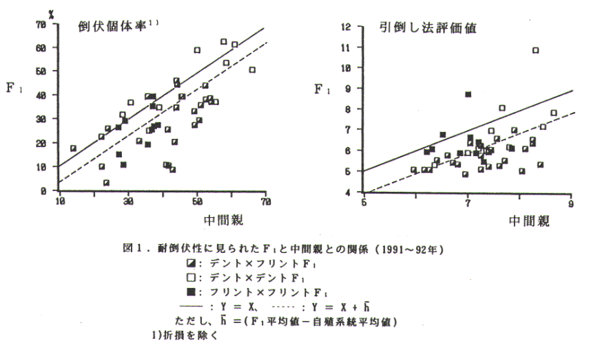 図1.耐倒伏性にみられたF1と中間親との関係