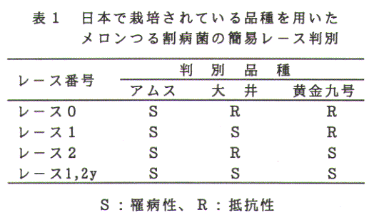 表1.日本で栽培されている品種を用いたメロンつる割病菌の簡易レース判別