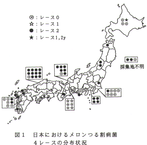 図1.日本におけるメロンつる割病菌4レースの分布状況