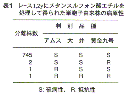 表1.レース1,2yにメタンスルフォン酸エチルを処理して得られた単胞子由来株の病原性