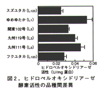 図2.ヒドロペルオキシドリアーゼ酵素活性の品種間差異