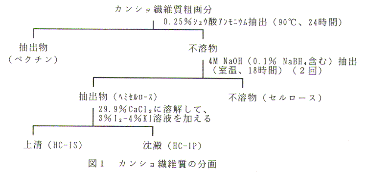 図1.カンショ繊維質の分画