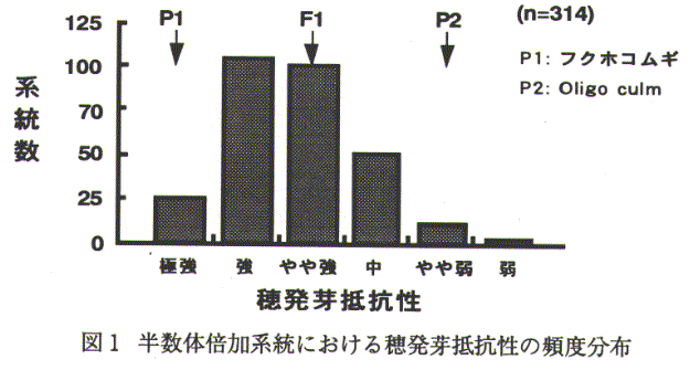 図1.半数体倍加系統における穂発芽抵抗性の頻度分布