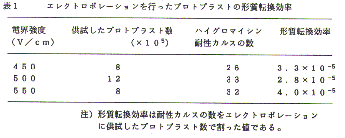 表1.エレクトロポレーションを行ったプロトプラストの形質転換効率