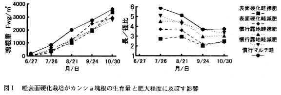図1 畦表面硬化栽培がカンショ塊根の生育量と肥大程度に及ぼす影響