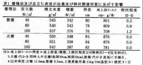 表1 播種法及び苗立ち密度が収量及び倒伏関連形質に及ぼす影響