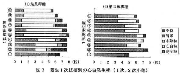 図3 着生1次枝梗別の心白発生率(1次、2次小穂)