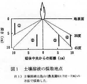 図1 土壌溶液の採取地点