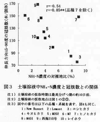 図3 土壌溶液中NH4-N濃度と冠根数との関係