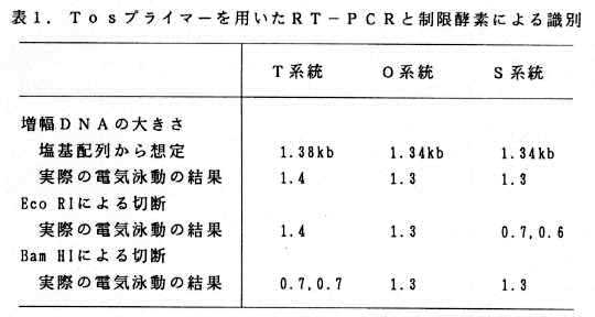 表1 Tosプライマーを用いたRT-PCRと制限酵素による識別