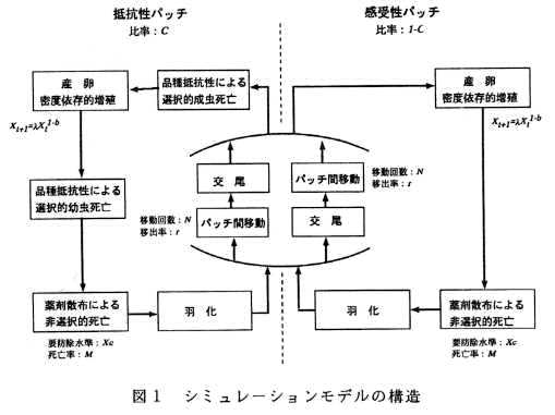 図1 シミュレーションモデルの構造