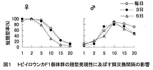 図1 トビイロウンカF1個体群の翅型発現性に及ぼす餌交換間隔の影響