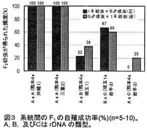 図3 系統間のF1の自殖成功率(%)(n=5-10)。