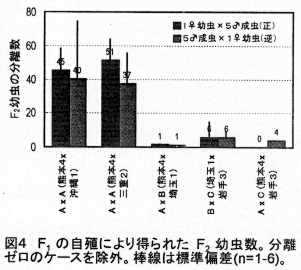 図4 F1の自殖により得られたF2幼虫数。(n=1-6)