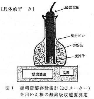 図1 超精密溶存酸素計(DOメーター)を用いた根の酸素吸収速度測定