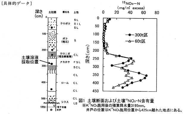 図1 土壌断面および土壌15NO3-N含有量