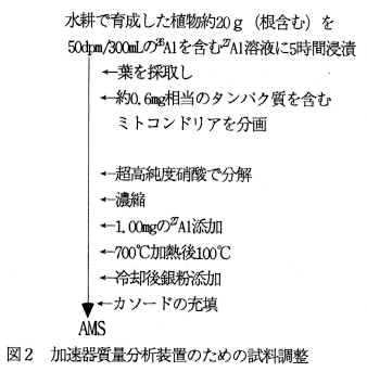 図2 加速器質量分析装置のための試料調整