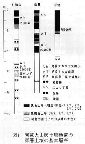 図1 阿蘇火山灰土壌地帯の深層土壌の基本層序