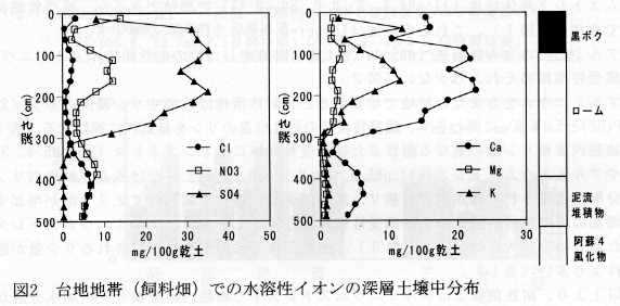 図2 台地地帯(飼料畑)での水溶性イオンの深層土壌中分布